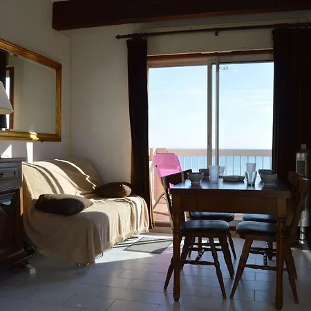 2 Pieces Avec Parking, Terrasses, Animaux Admis A 100m De La - Fr-1-225d-10