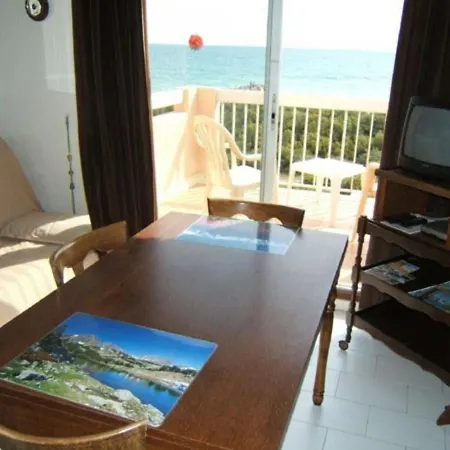 2 Pieces Avec Parking, Terrasses, Animaux Admis A 100m De La - Fr-1-225d-10 Lägenhet Saint-Cyprien (Pyrenees-Orientales)