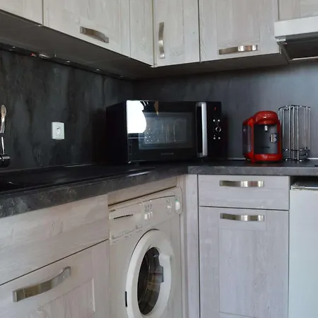 아파트 2 Pieces Avec Parking, Terrasses, Animaux Admis A 100m De La - Fr-1-225d-10